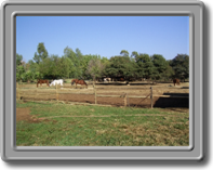 Yet another group photo